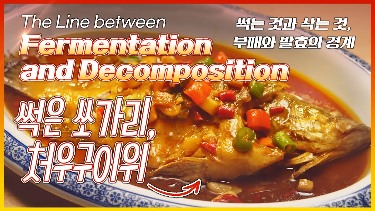 [4K] 중국 썩은 쏘가리 처우구이위 臭鳜鱼, 아이슬란드 삭힌 상어 하칼 Hakarl, 중국 털이 자라나는 두부 마오더우푸 毛豆腐