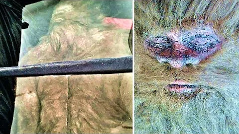 6 Mysterious Events From West Virginia That Can't ...