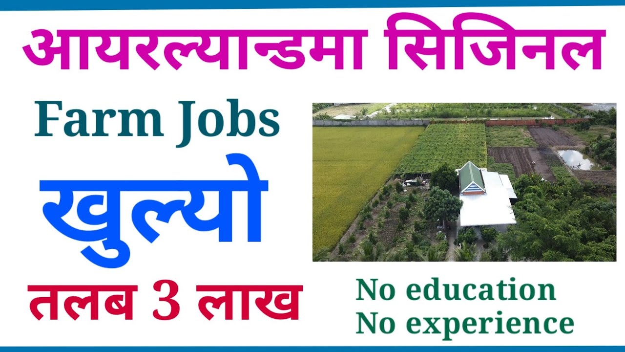 how-to-apply-work-visa-in-ireland-agriculture-farm-jobs-uttam-online
