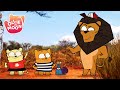 The lion whisperer   ollie and moon english  full episode  season 1  cartoons for kids