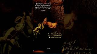 always value yourself first❤️🔥💔❤️🩹#goldenwords #sufismpoetry#islamicsayings #universalsufism