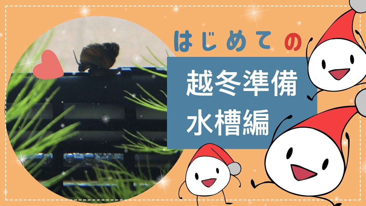 めだかちゃん越冬準備【水槽編】祝・初ヒーター導入＆親水槽が大変な