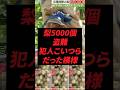 梨5000個盗難、犯人こいつらだった模様