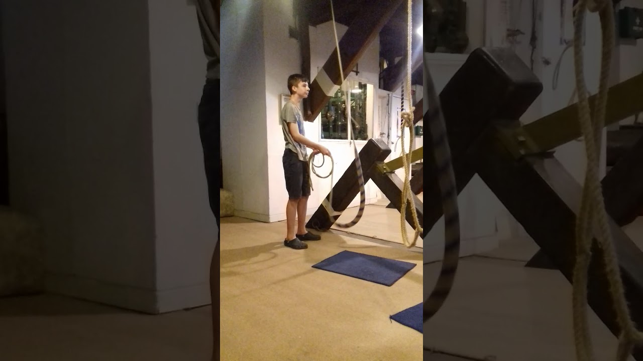 GTFDing herefords tenor