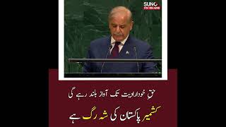 Shehbaz Sharif at UN | Kashmir and Regional Stability | #SunoFM #sunofm894