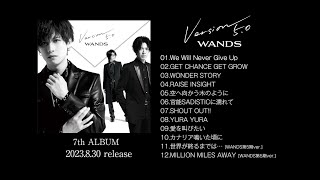 WANDS 「Version 5.0」全曲紹介