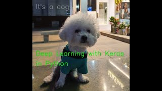 Deep Learning with Keras for Novices at Python (Lesson 1) | Introduction to CNN