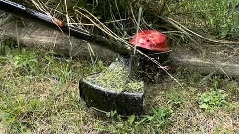 REVIEW toro 60v "string trimmer" (flex force)