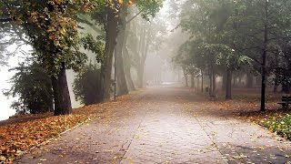 Soothing Piano Music | relaxing | instrumental | stress relief | study | peace