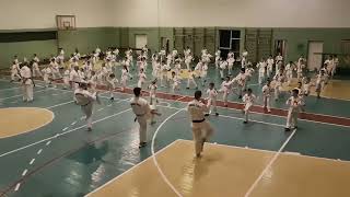 Ashihara Budo Karate. Ukrainian Promotion test. November 2023