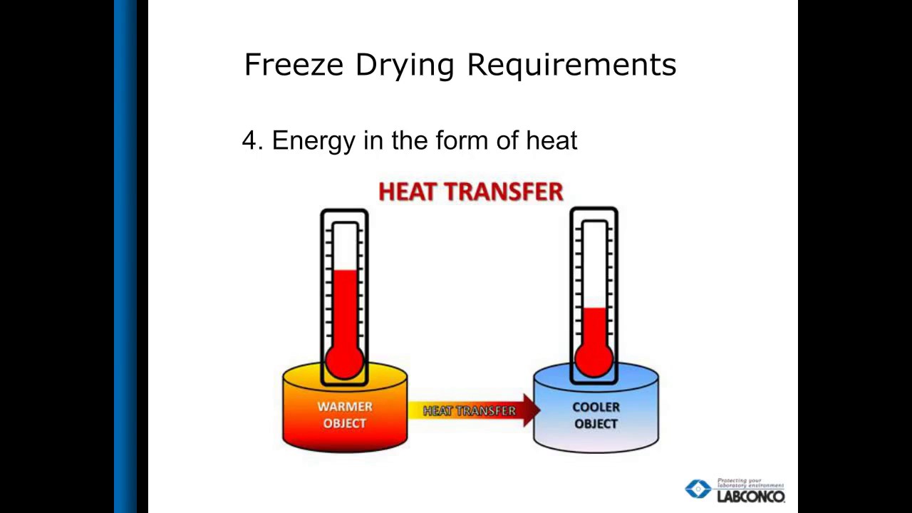 Optimizing the freeze dry process: What accessories are right for you? -  Labconco