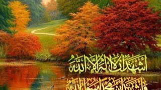 تلاوة رائعة سورة الانشقاق امام الحرم النبوي الشيخ علي الحذيفي www.qoranet.net