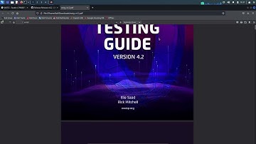 3  OWASP Web Security Testing Guide