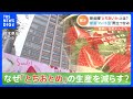 「とちおとめ」が消える！？イチゴ生産量日本一の“いちご王国・栃木”で異変　代表品種の大幅減産に隠された“秘策”とは？｜TBS NEWS DIG
