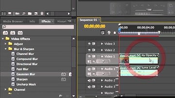 The Effect Controls Window   Adobe Premiere Pro CS5 Video Tutorials