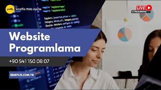 Sineflix Web Ajans Ile Profesyonel Web Tasarımı Hizmetleri