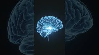 Yüksekten Atlama İsteği Neden Gelir? 🧠 (Boşluğun Çağrısı)