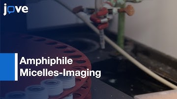 Synthesis: Monocyte-Targeting Peptide Amphiphile Micelles-Imaging:Atherosclerosis l Protocol Preview