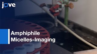 Synthese: op monocyten gerichte peptide-amfifiele micellen - beeldvorming: atherosclerose l protocolvoorbeeld