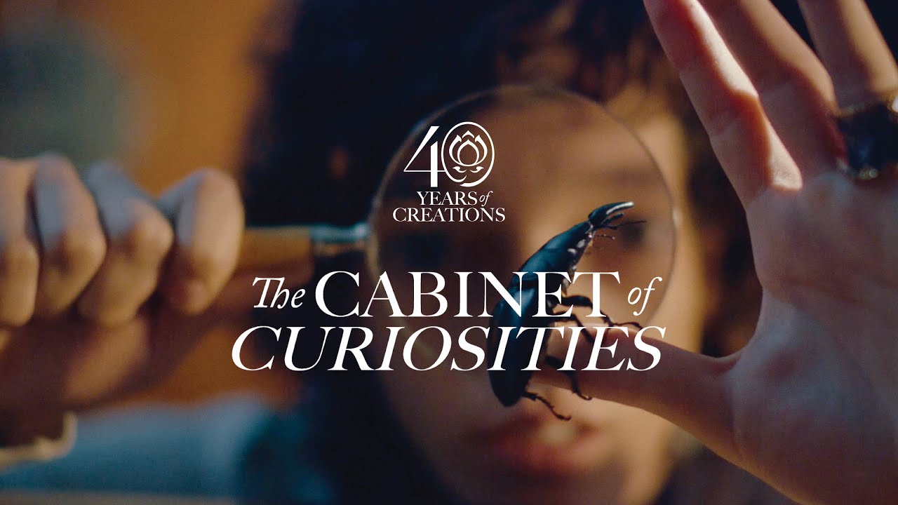 Lotus Arts de Vivre - Stay Curious