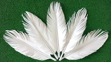 DIY: How to make paper feathers