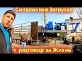 Грузим Кран на гусеничном ходу. Загрузим двумя кранами или нет?