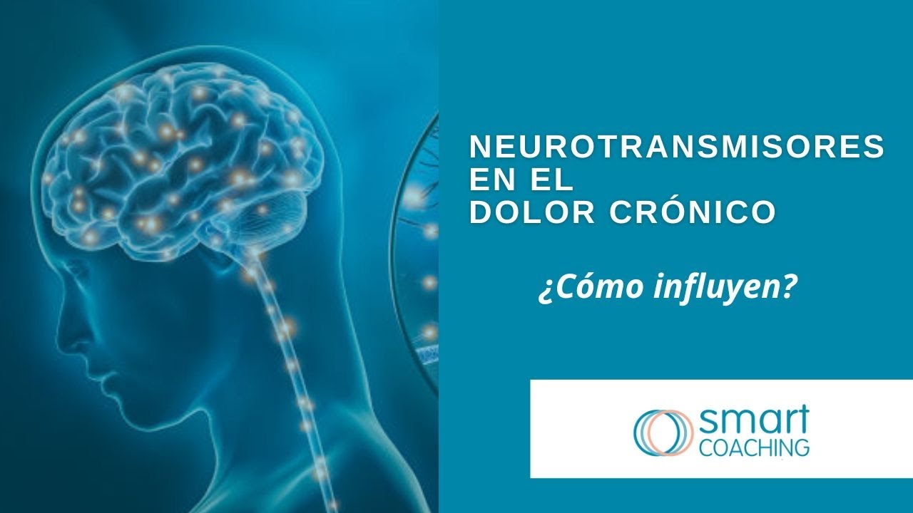 Neurotransmisores en el dolor crónico: ¿realmente influyen? - YouTube