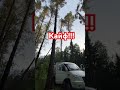 #шашлычок #природа