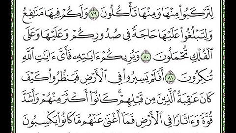 سورة غافر مكررة الآيات من 79 إلى 82  Surah Ghafir repeated