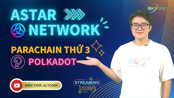Tìm hiểu về ASTAR NETWORK - Parachain thứ 3 trên Polkadot?! - Cập nhật 2022 | Kiến thức Altcoin
