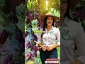 ¿Cacao sin flores? ¡Acelera tu cosecha con el Combo Floración! 🍫🌱