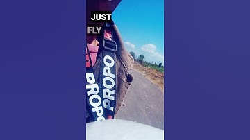 JustFly atomrc dolphin PNP jumpert18 tbs