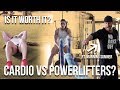 Should Powerlifters Do Cardio? Is It Worth It? | Ft Manning Sumner