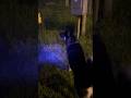 Dogs vs pipe monster #germanshepherd #husky #funny #scary