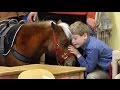 Miniature service horse makes her first visit to Winterberry Charter School