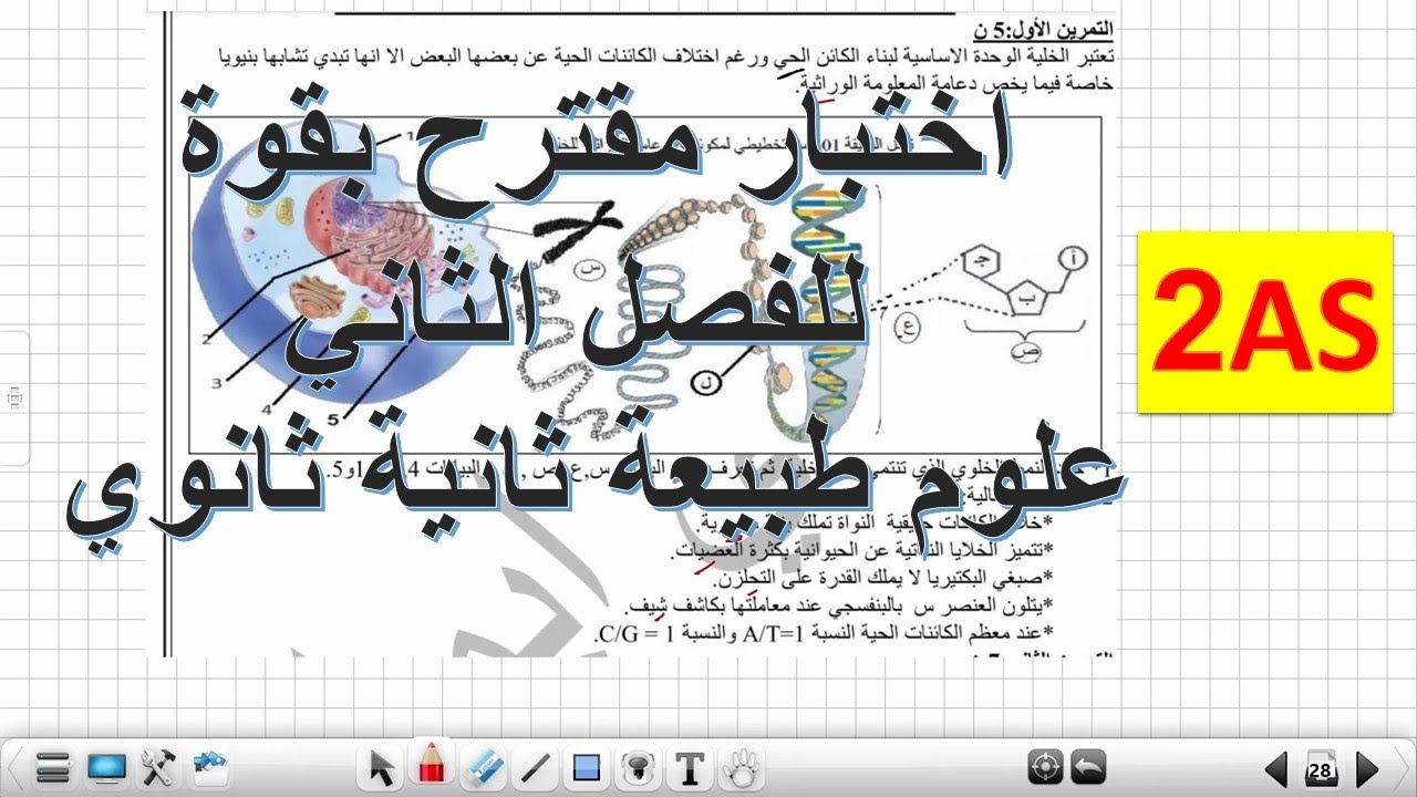اختبار الفصل الثاني علوم طبيعية  2ثانوي
