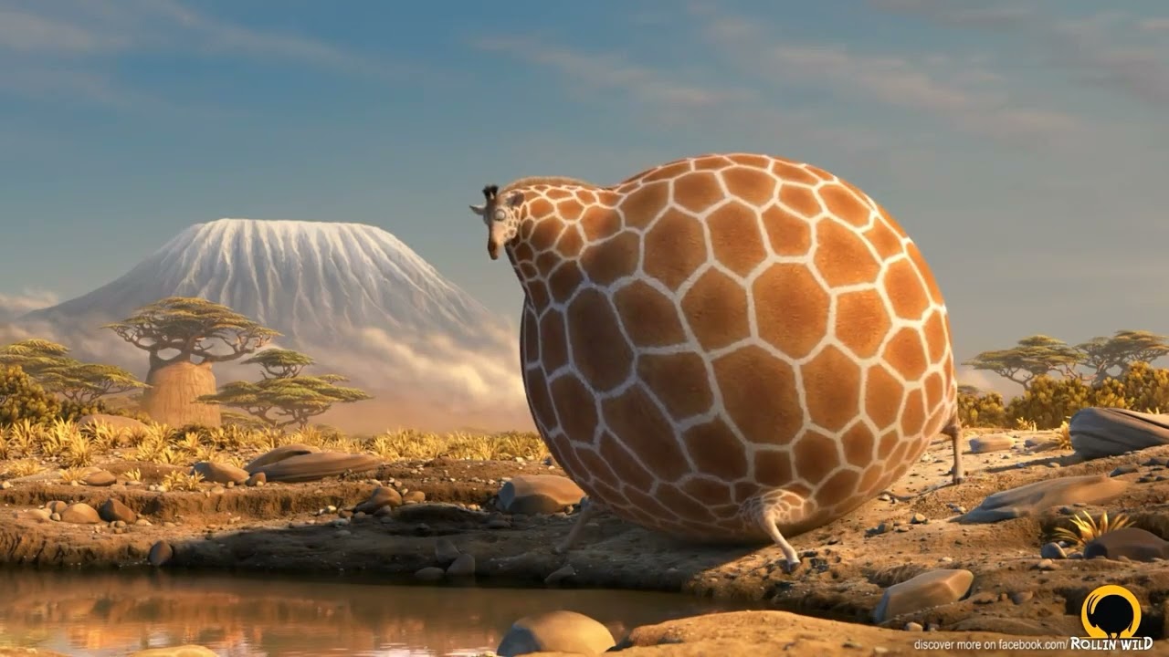 Круглые животные мультик картинки