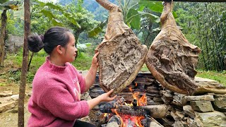 FULL VIDEO: 65 Days Fruit Harvest - Make Smoked Pork - Gardening - Animal Care - Farm | Lý Thị Ca