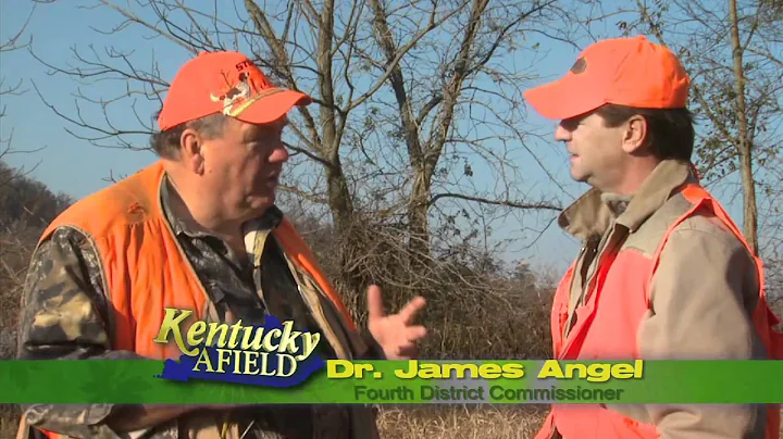 Bobwhite Quail Hunt in Marion County