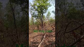 #short video viral kaise kare #my vlog video viral kaise kare 😱,,🌹 #vlog