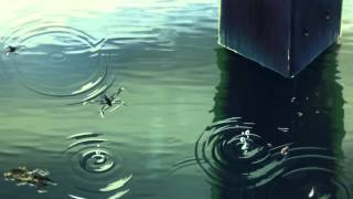 AMV - rainfall 720p