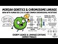 Derpy Genes FINALE: Coding X, Y &amp; Mutant DNA in Go
