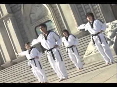 Taeguk 8 Jang