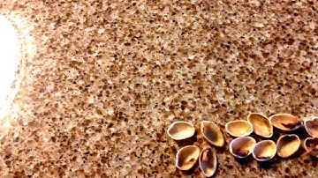 3.OA.8 - How many more pistachios can I eat? (A 2-step word problem)