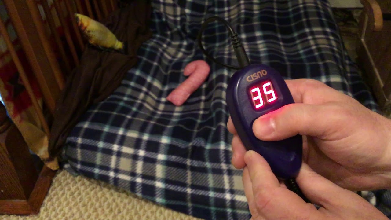 cisno pet heating pad