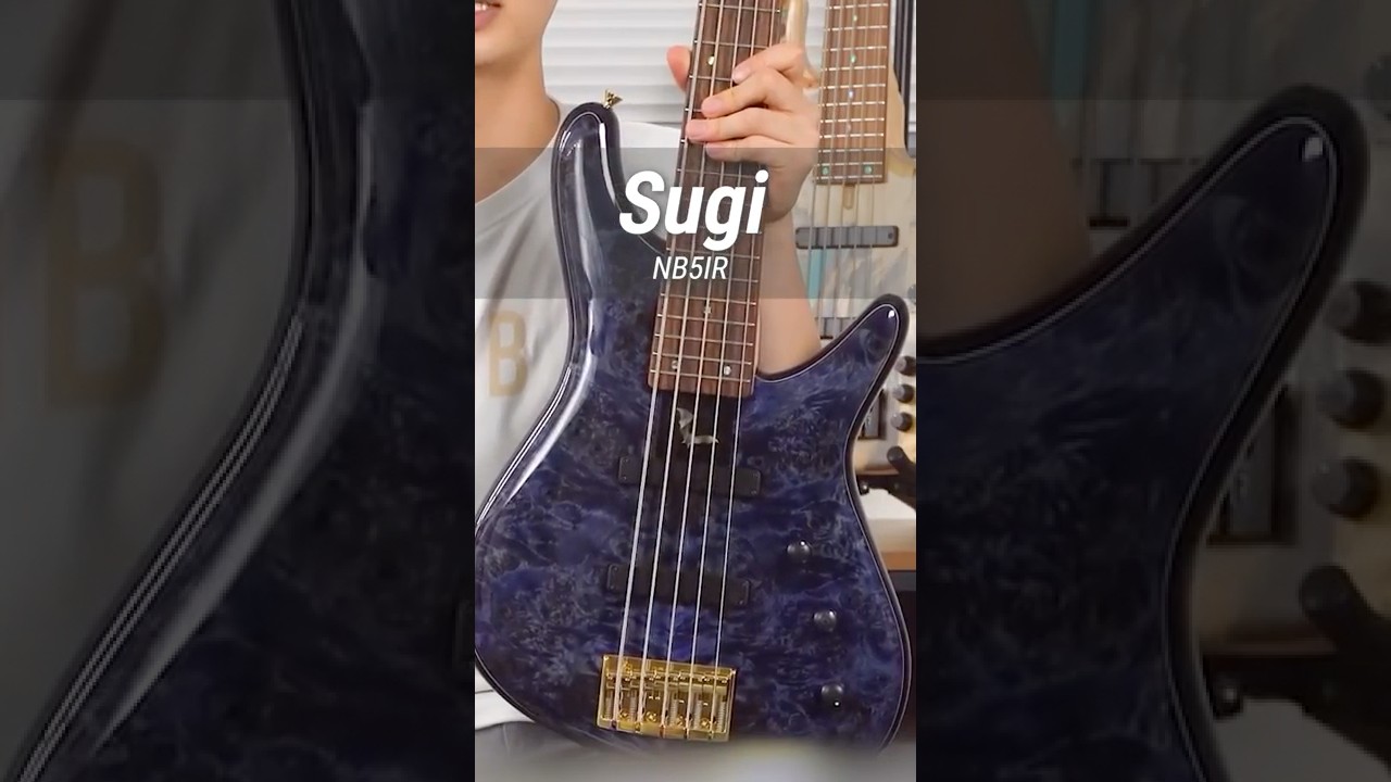 Sugi NB5] Introducing the recommended Japanese high-end bass