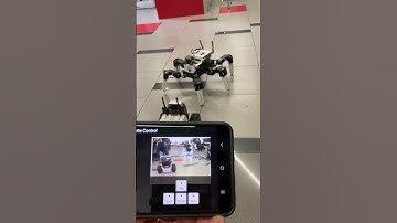 🤖🕷️ Yahboom MUTO Spider Robot Detects Mobile Robot with Camera! 🤖