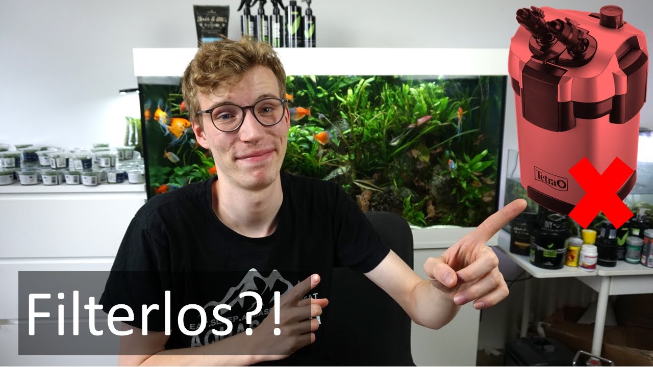 Filterlose Aquarien, Diffusionsfilter Light, Biofilme in Aquarien