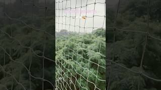 Bheegne k baad 🌧️💧#trending #viral #shorts #ytshorts #oldsong #food #minivlog