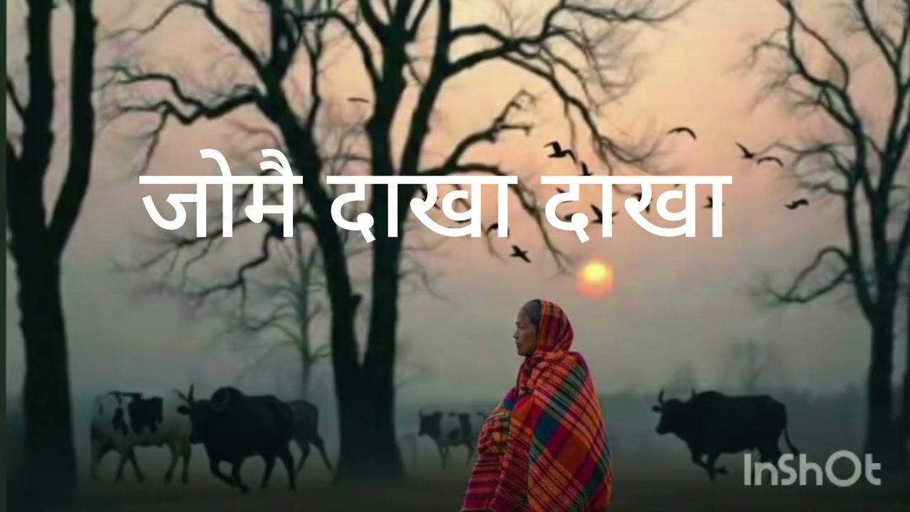 Jwmwi Dakha Dakha(जोमै दाखा दाखा) | Emotional Bodo Song l Official Release, Feb-2026 l 